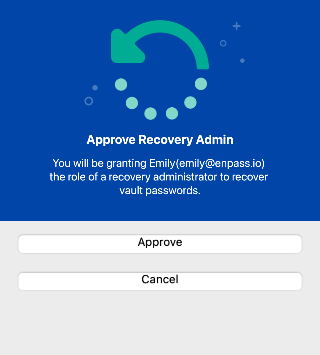 Authorize a user as a Recovery Admin